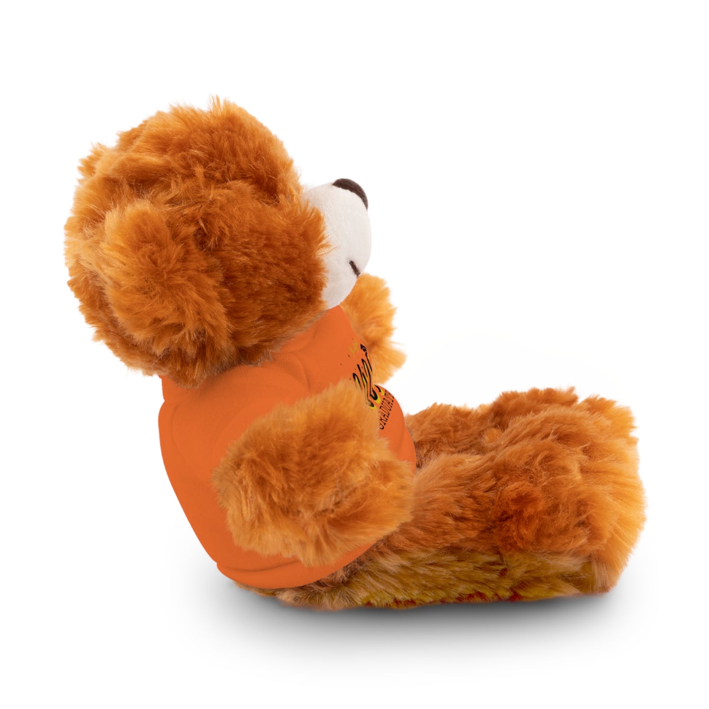 2024 Graduate Stuffed Animals with Tee