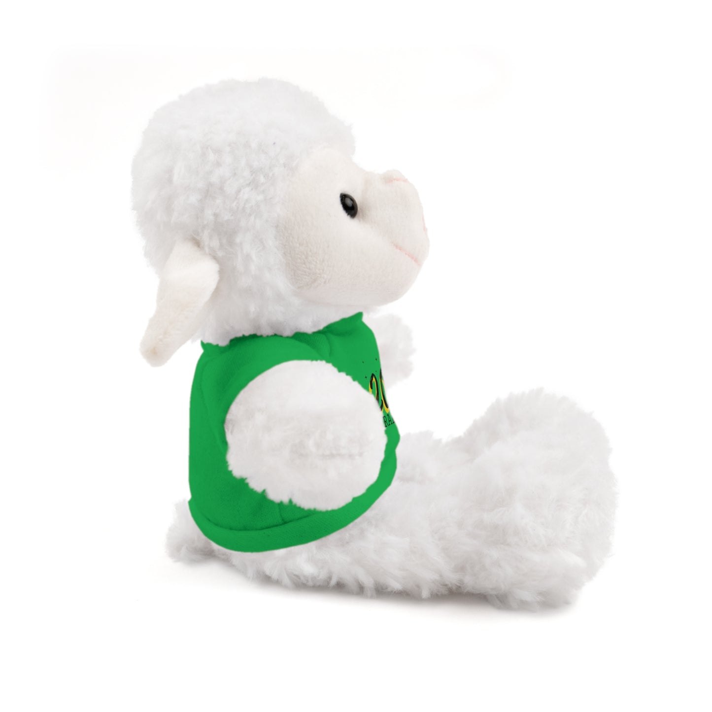 2024 Graduate Stuffed Animals with Tee