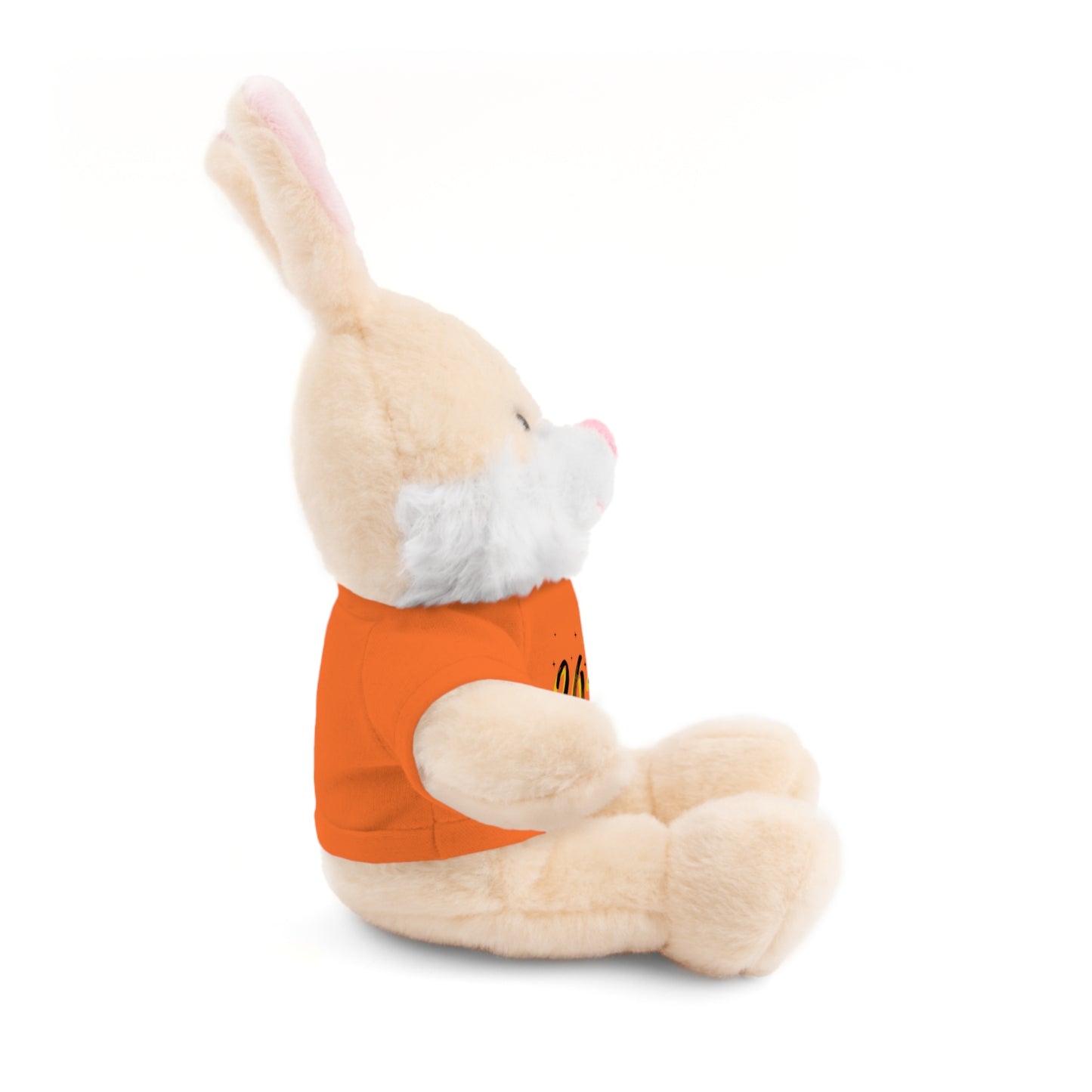 2024 Graduate Stuffed Animals with Tee