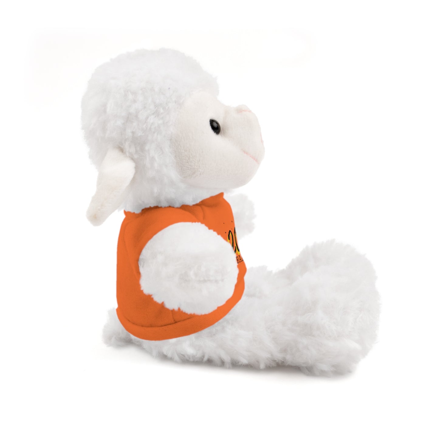 2024 Graduate Stuffed Animals with Tee