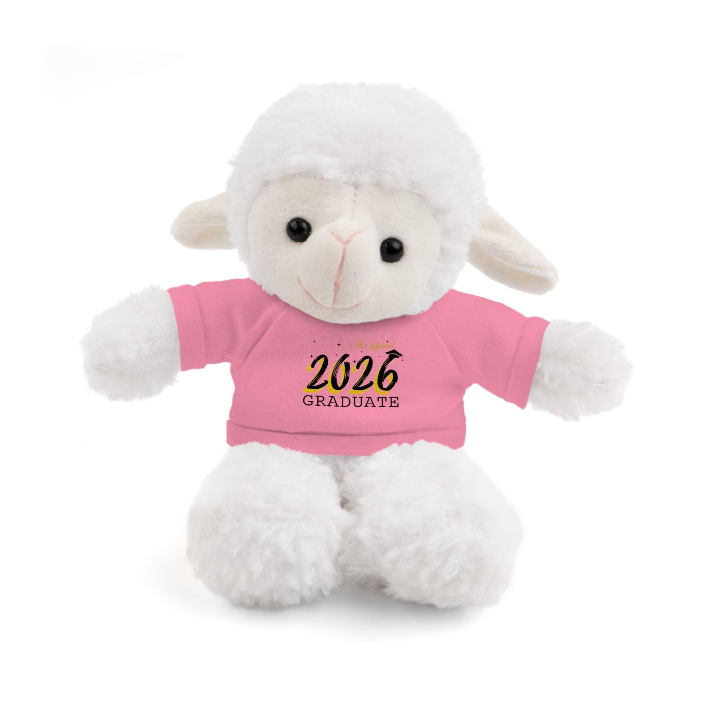 2026 Graduate Stuffed Animals with Tee