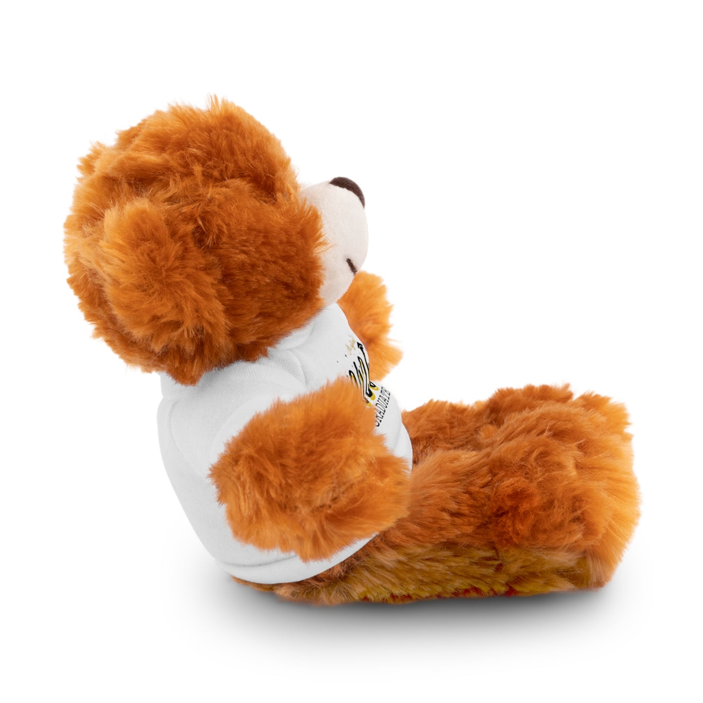 2026 Graduate Stuffed Animals with Tee