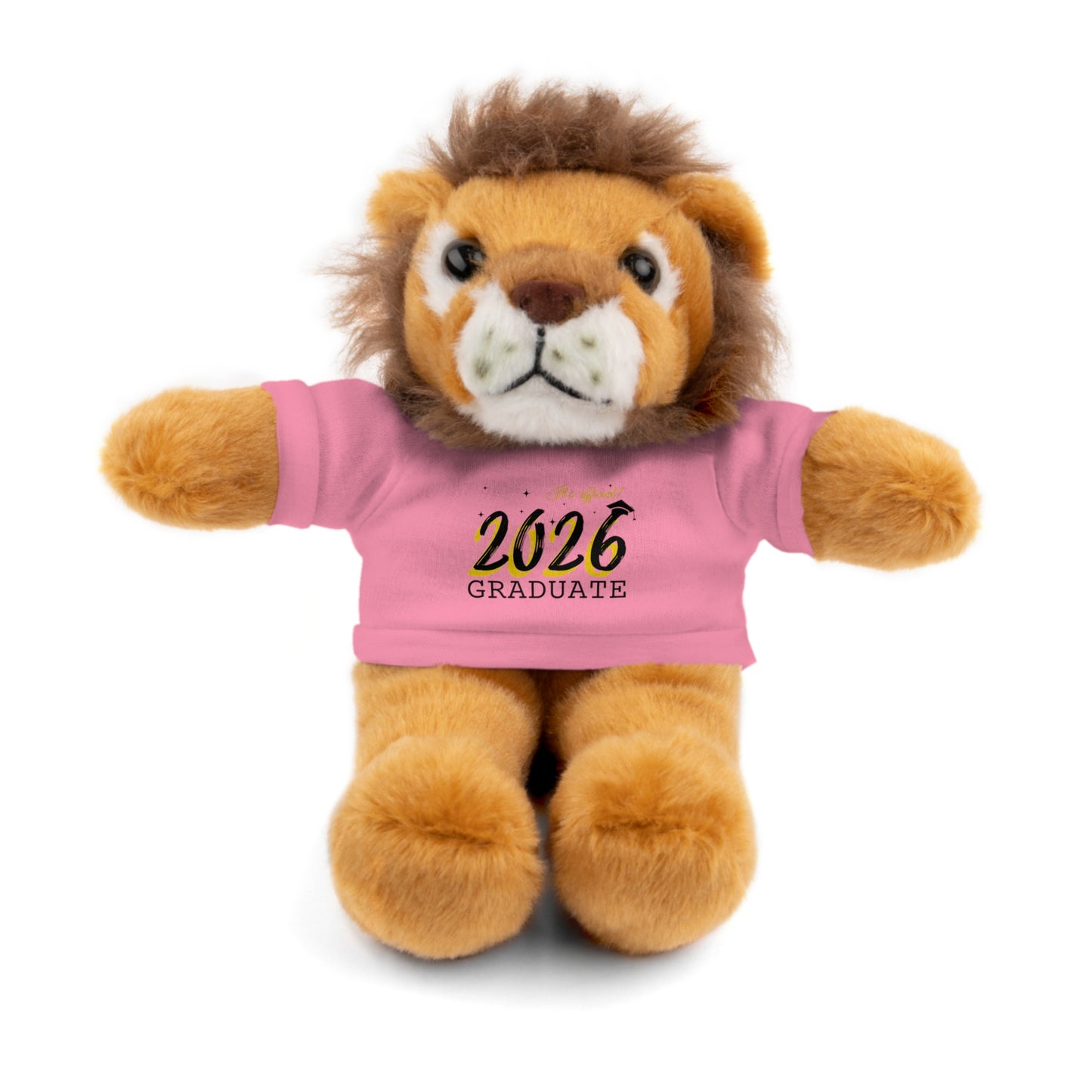 2026 Graduate Stuffed Animals with Tee