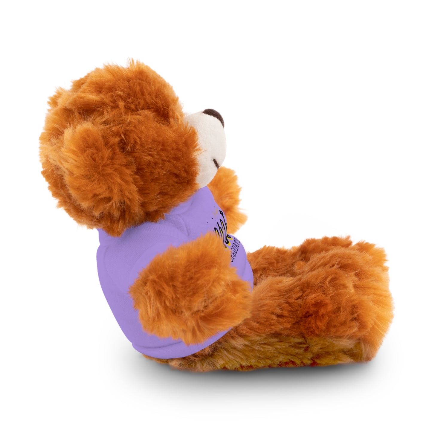 2026 Graduate Stuffed Animals with Tee