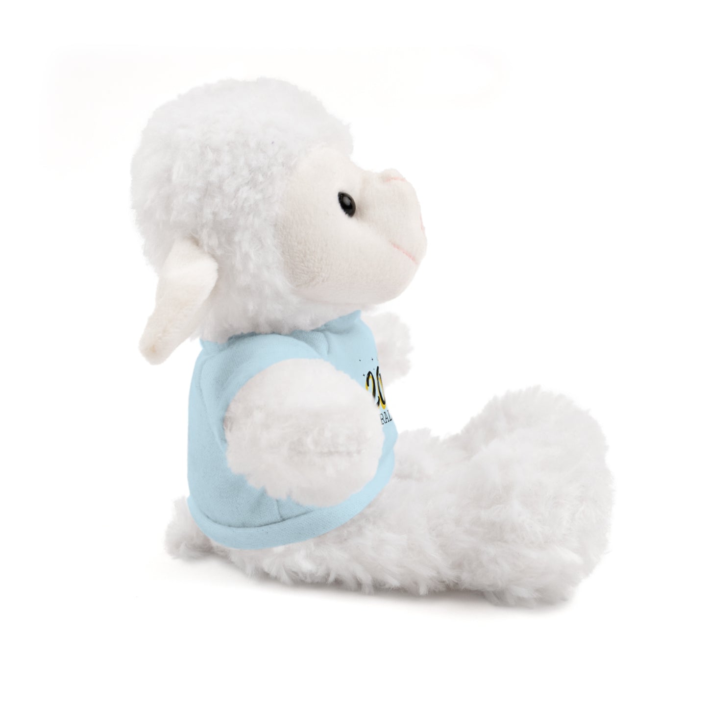 2026 Graduate Stuffed Animals with Tee